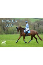 Woof Wear Womens Performance Riding Shirt Powder Blue